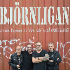 Björnligan - Bascet Case (Green Day cover - Live 96)