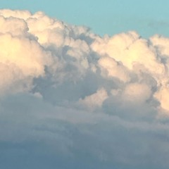 NO HANDS X HEADS WILL ROLL