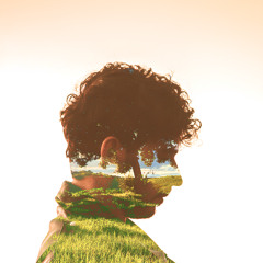 lonetree