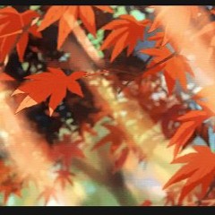 STBB#968 - CHANGING SEASONS WEEK Hosted by Heshy