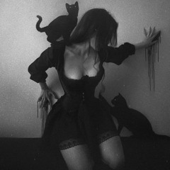 TransilvaniaRotterdam - Diary Of A Slut