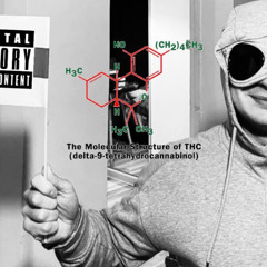 352 feat. ZENZO - NO CRY