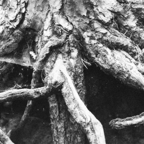 What Ravens Talk About presents DHN - 07-09-2025