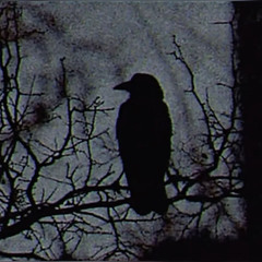 Dream prod. thankswwr + mlodyhubson + rio