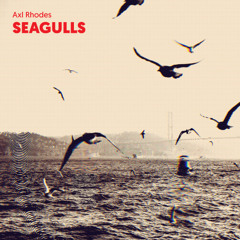 Seagulls