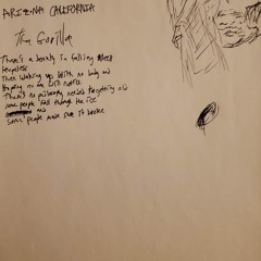 David Foster Wallace