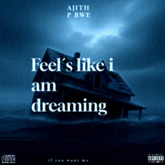 Feels like I am dreaming - Ajith P BWE