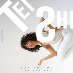 Say You Do (The Remixes)
