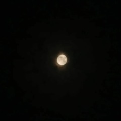Stella By Starlight