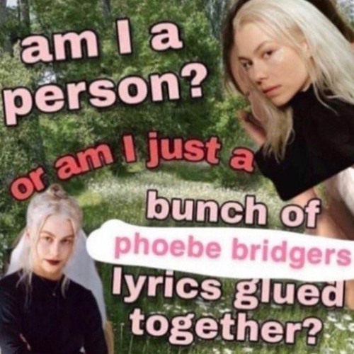 Phoebe Bridgers - Moon Song DIY Acapella
