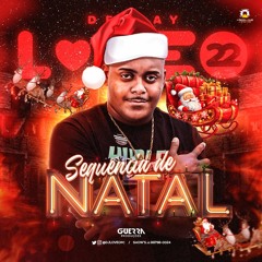 SEQUENCIA DE NATAL DJ LOVE 22