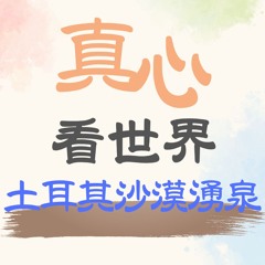【真心看世界】土耳其沙漠湧泉