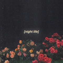 night life - lofi house type beat (FREE FOR PROFIT USE)