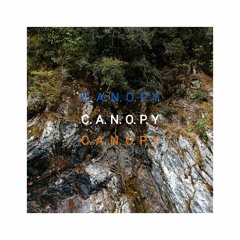 Canopy