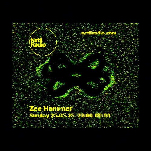 Zee Hammer - 25th May 2025