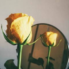 Where The Love Is by xannedaymorning(original song)