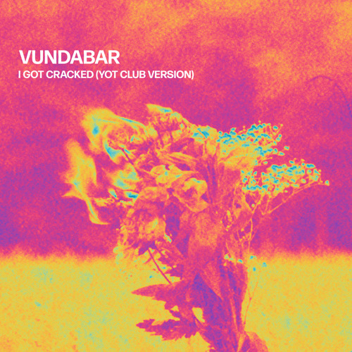 I Got Cracked (Yot Club Version)