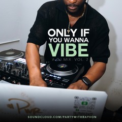 Only If You Wanna Vibe: Vol. 2