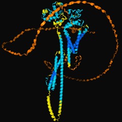 A Night in Gotham City