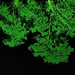 Temaar - Dance Preset