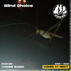 Blind Choice - 04/11/25 - [Voices Radio]
