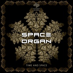 Space Organ & Spektron - Sylvantron (Original Mix)