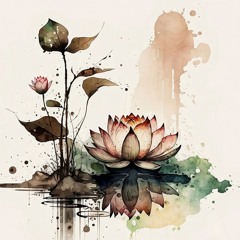 Bloom - Beat Church Asheville 4-29-25 {Ecstatic Dance Set by MIKAYA}