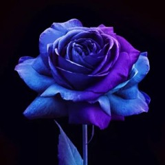 My Violet And My Blue (Jade Cover) - Chrissy Casas