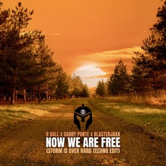 8 Ball x Gabry Ponte x Blasterjaxx - Now We Are Free (Storm Is Over Hard Techno Edit) FREE DOWNLOAD