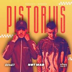 Gemitaiz & Madman - Pistorious (Not Mad x Bomb Heist Bootleg Remix) (FILTERED)