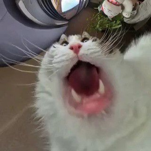 I Dont Think Ur Happy Enough