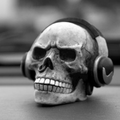 NoiZeTekk_live - Freunde