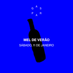 Gaspar recebe Festa Mel