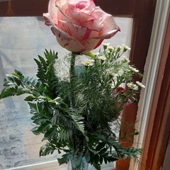 CUMBIA <3 Freestyle 2021