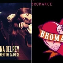 Lana Del Rey Vs Avicii - Sumertime Sadness Vs Seek Bromance (Jamieson Edit)