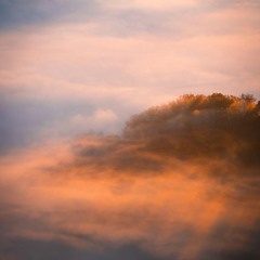 Down To Earth | Ambient Sauna | July 25