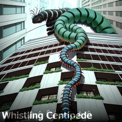 Whistling Centipede