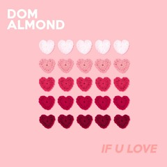 IF U LOVE (Radio Edit)
