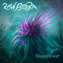 Raw Bora - Glassflower