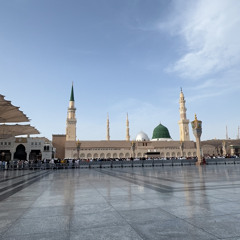 أحمد الطبيب🍃