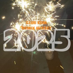 2025년 상반기 정산🧡: 클럽 이디엠 리믹스 믹셋 Club EDM Remix Mixset | [Mixset 6]
