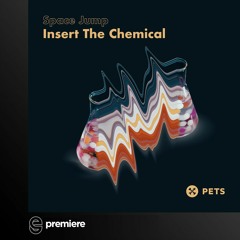 Premiere: Space Jump - Insert The Chemical - Pets Recordings