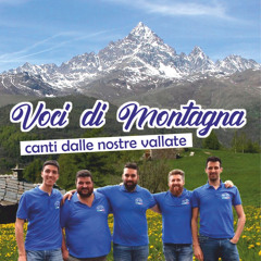 Dammi la mano