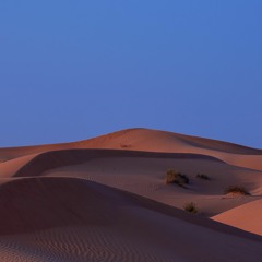 alone in the desert