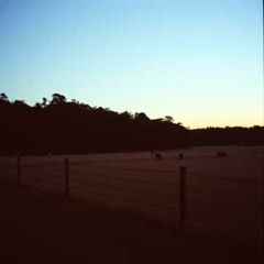 At the Ranch With You