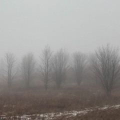 TOAD RIP w/ young britney