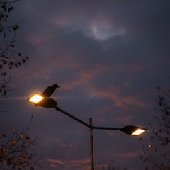 .mindstate [THE AUTUMN ARCHIVES]