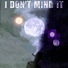 I Don't Mind It