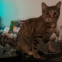 Steamroller [Neuro DnB]