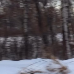 tdf - love (ily5 trailer beat)